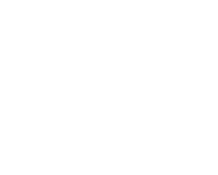 Synthetic Turf Council Member